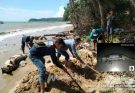 Nelayan Temukan Seekor Ikan Duyung Mati di Pesisir Panjinggahan, Pulau Bawean 